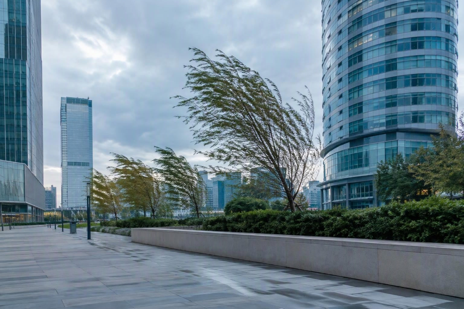 High-rise towers and a windy public plaza with trees bending in the wind